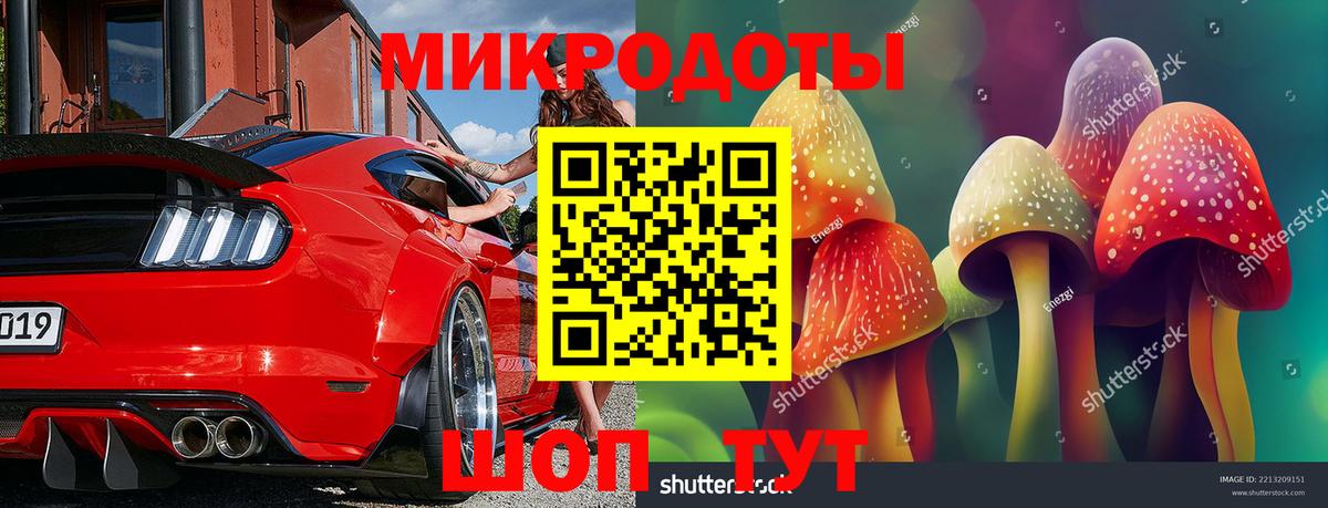 Галлюциногенные грибы прущие грибы Курск