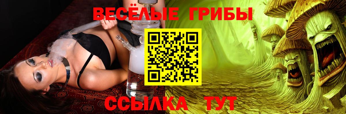 Галлюциногенные грибы Cubensis  Псилоцибиновые грибы Psilocybine cubensis  Вход с VPN  Курск 